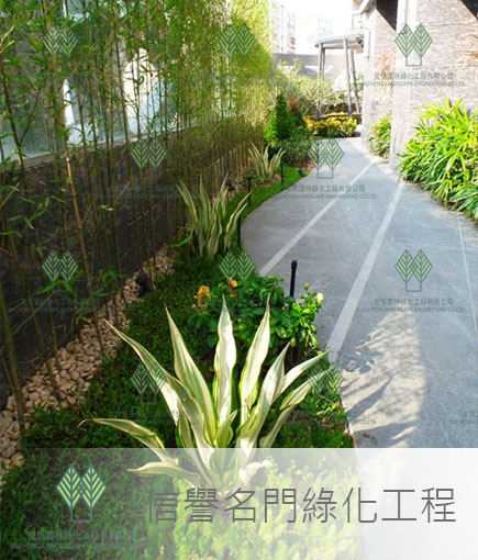 信譽名門中庭綠化設計