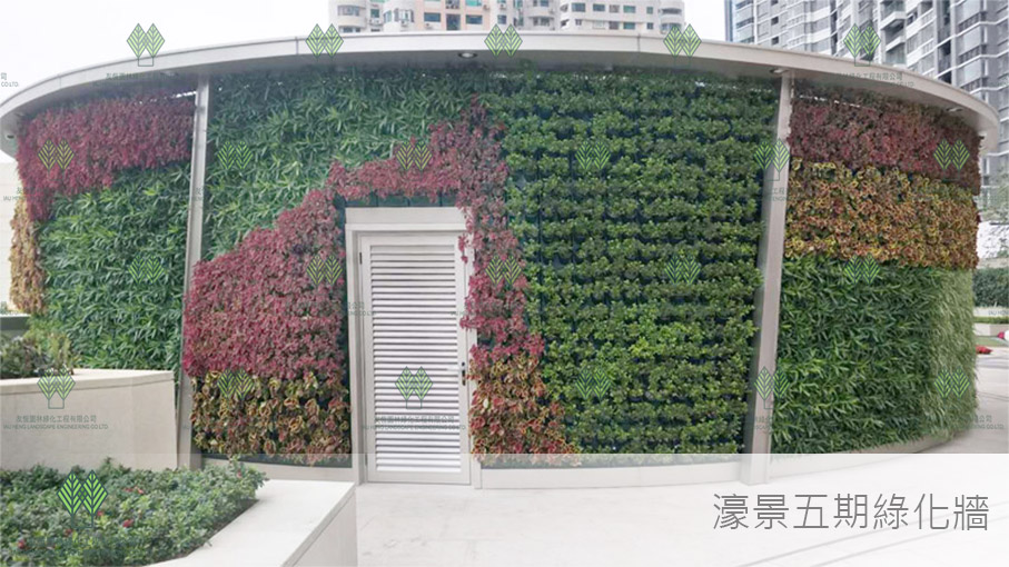 濠景五期綠化牆